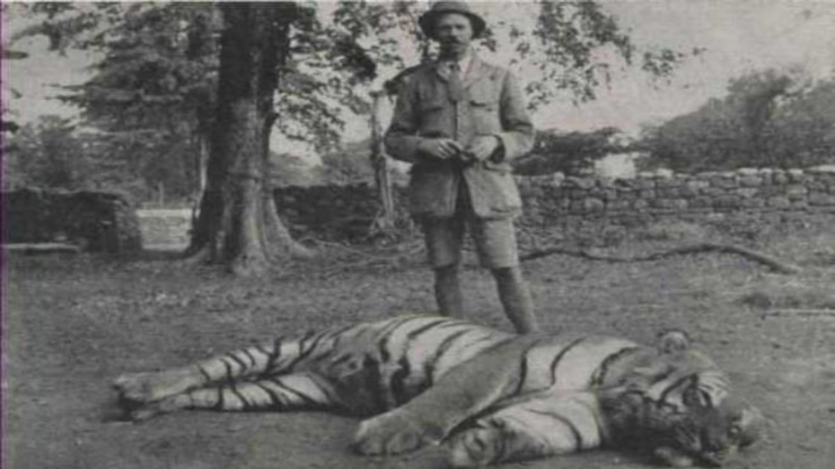 The Man Who Hunted History's Most Lethal Tigers