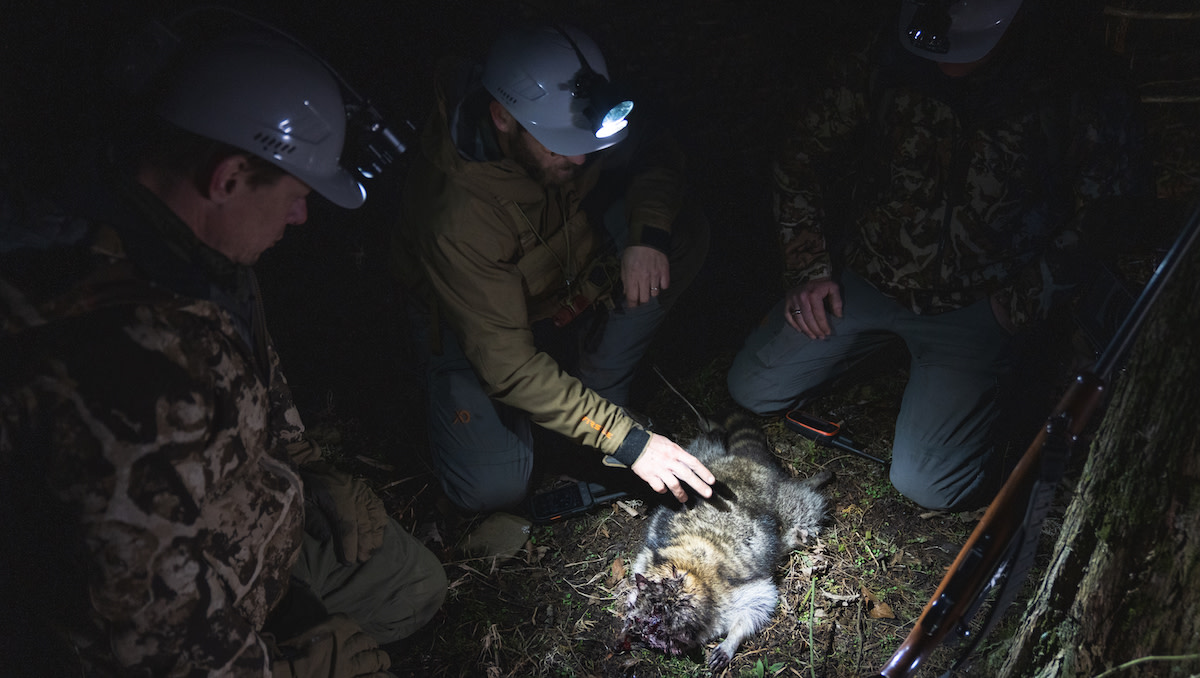 How to Coon Hunt MeatEater Hunting