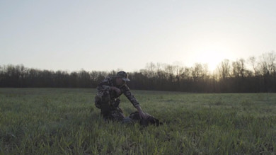 Hunter in camouflage kneeling in grassy field at sunrise, touching a harvested turkey