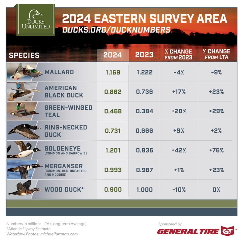 easter waterfowl survey