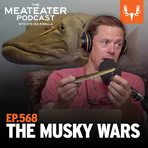 Steven Rinella holding a fishing lure at mic; musky behind. Text: THE MEATEATER PODCAST; EP.568 THE MUSKY WARS