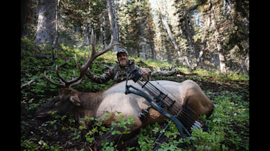 Idaho Archery Elk with Jason Phelps