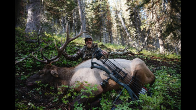 Idaho Archery Elk with Jason Phelps