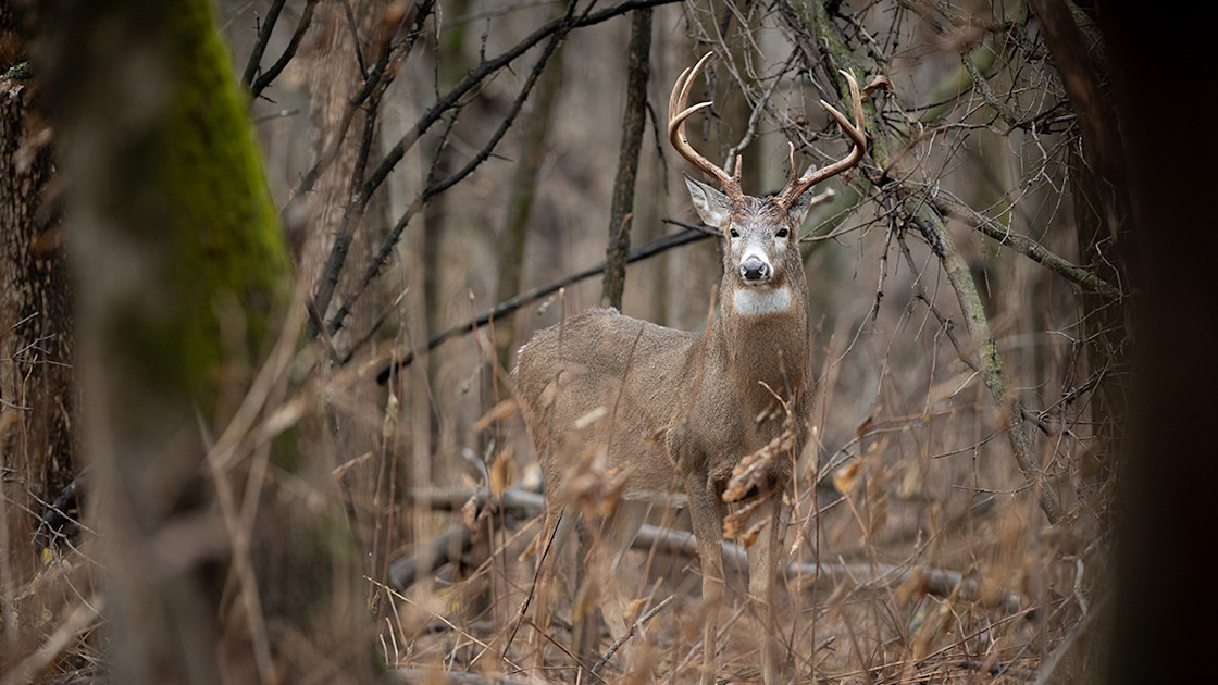 Why You Should Still Hunt This Fall Meateater Wired To Hunt 4329