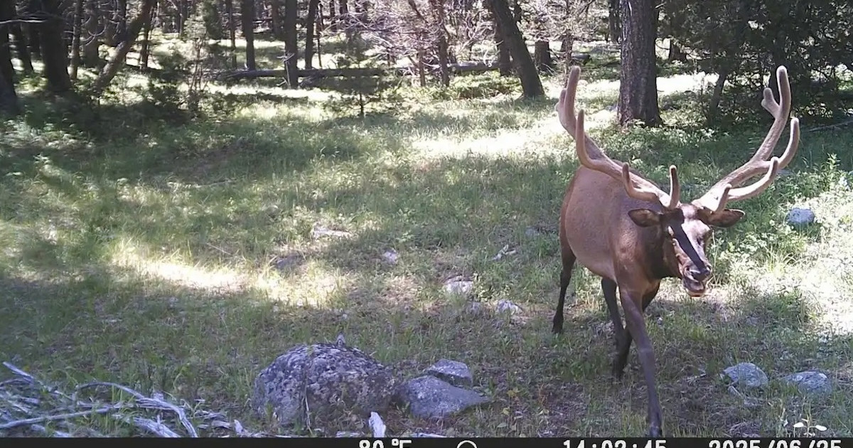 31-Day Elk Hunt: Part 1, Family Ties