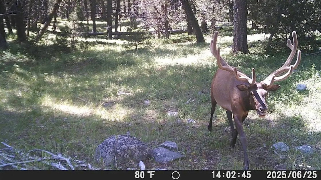 31-Day Elk Hunt: Part 1, Family Ties
