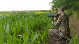 3 Long-Range Glassing Mistakes Whitetail Hunters Make