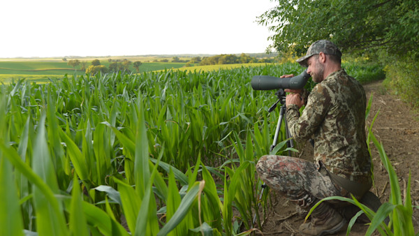 3 Long-Range Glassing Mistakes Whitetail Hunters Make