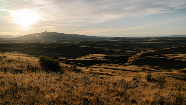 Wyoming Busts Ring of Poachers for Lying About Residency As Part of Outfitting Operation