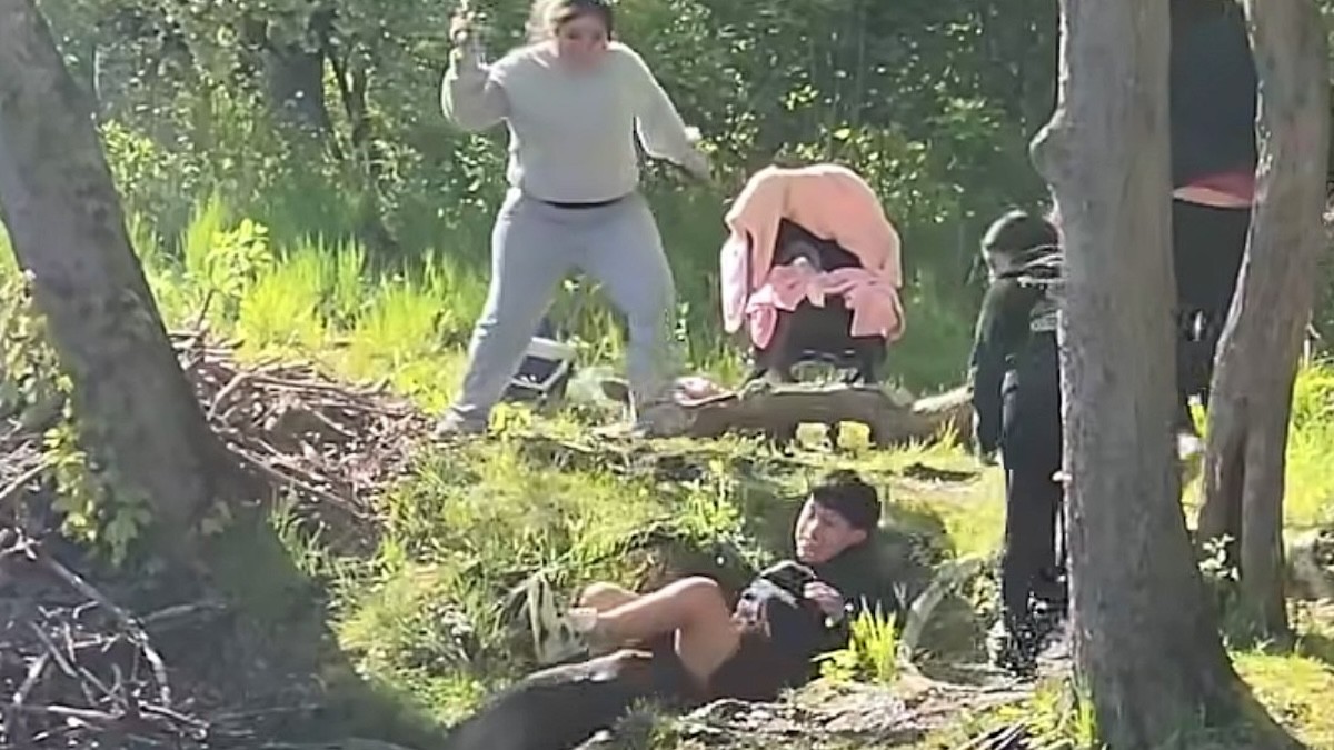 beaver attack.jpg