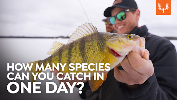 Multi-Species Mashup