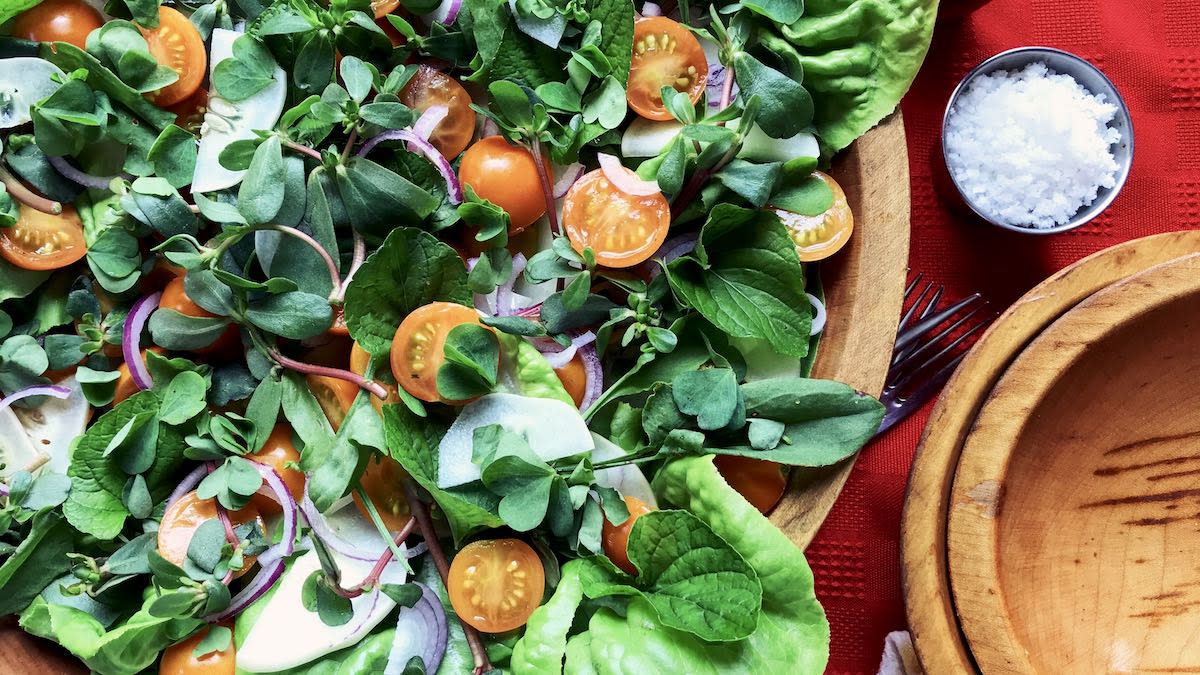3 Wild Salad Greens You Can Find in Your Backyard