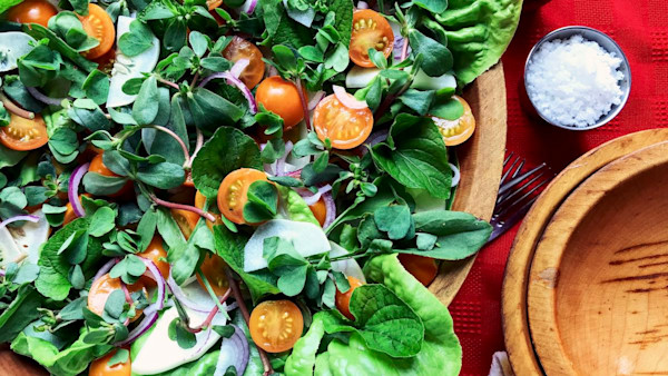 3 Wild Salad Greens You Can Find in Your Backyard
