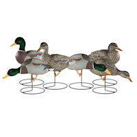 Mallard Full Body 6 Pack, 3 Drakes & 3 Hens