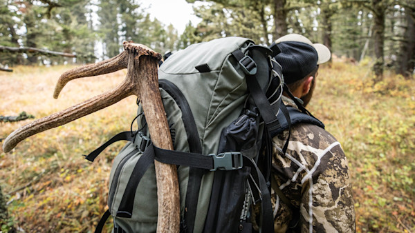 Should Shed Hunting Require A License?