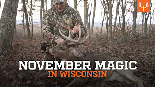 November Magic | Wisconsin Whitetail