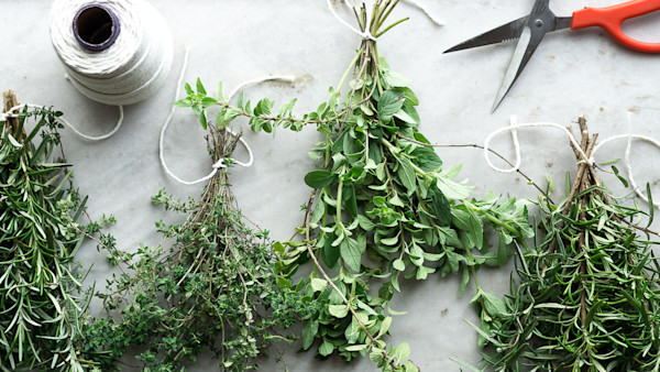 6 Ways to Preserve Herbs
