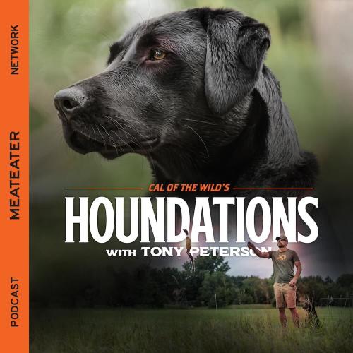 Cal of the Wild: Houndations