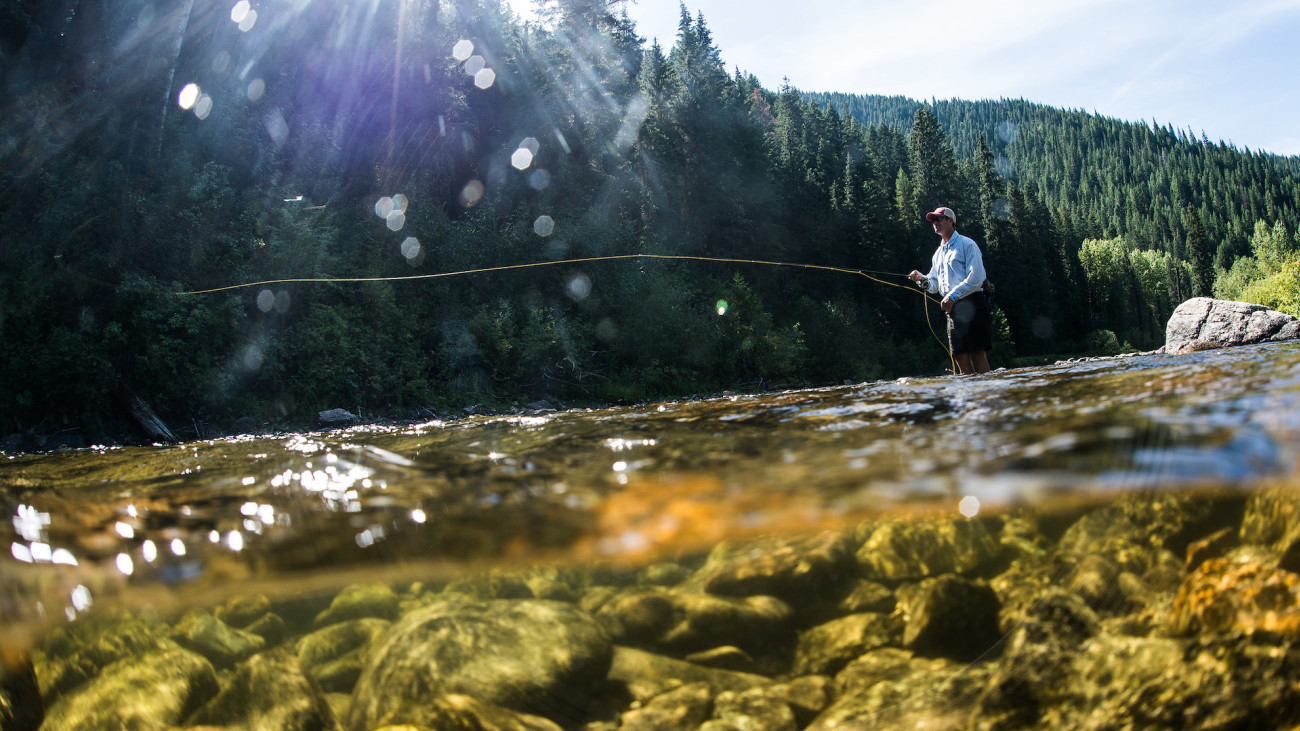 Which States Have the Best Fly Anglers?