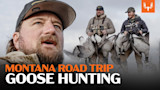 Montana Goose Hunting Road Trip