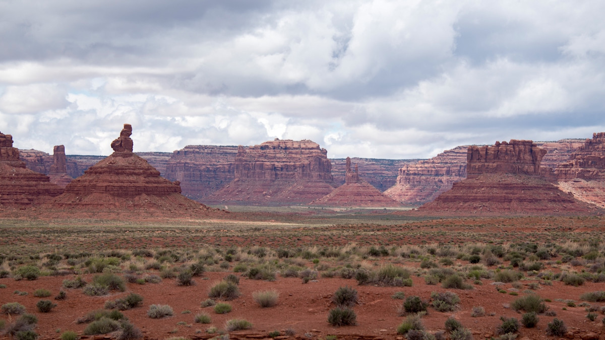 AdobeStock_113082396.jpeg