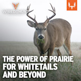 Buck eating grass in prairie; overlay text "THE POWER OF PRAIRIE FOR WHITETAILS AND BEYOND"