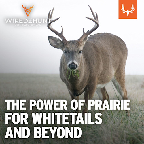 Buck eating grass in prairie; overlay text "THE POWER OF PRAIRIE FOR WHITETAILS AND BEYOND"