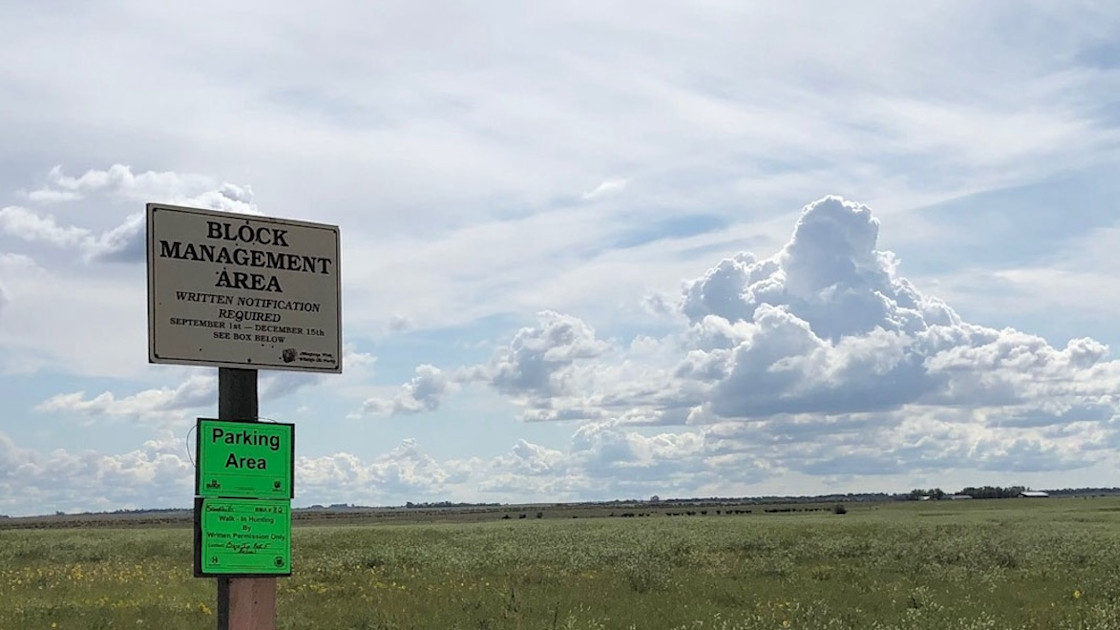 If You’re Buying Montana Tags, Check the ‘BMP’ Box | MeatEater ...