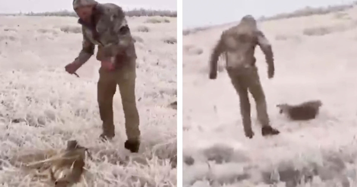 Hunting Personality Under Scrutiny After Video Shows Him Stab a Wounded Coyote Hunting Personality Under Scrutiny After Video Shows Him Stab a Wounded Coyote