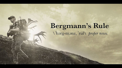 Bergmann's Rule \ˈbərg-mənz, ˈrül\ proper noun; hunter carrying antlers uphill