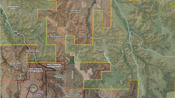 How to E-Scout for Public Land Whitetails