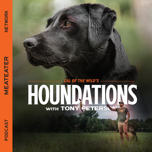 Ep. 312: Houndations - How to Diagnose and Address Anxiety and Stress in Your Dog