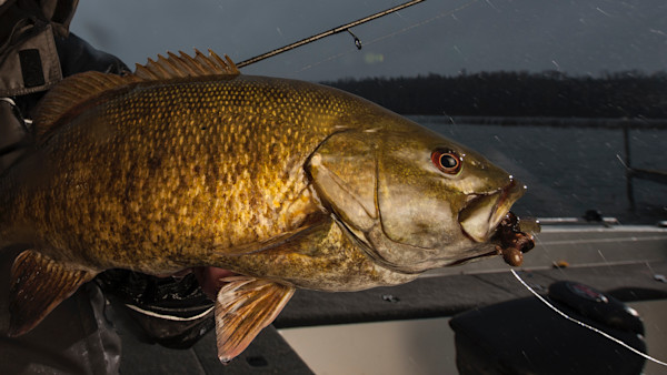 The Simple Tool That’s Changing Bass Tournaments