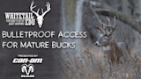 Bulletproof Access For Mature Bucks
