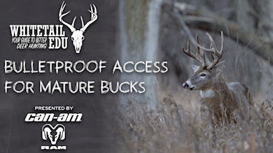 Bulletproof Access For Mature Bucks