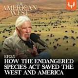 HOW THE ENDANGERED SPECIES ACT SAVED THE WEST AND AMERICA; man speaking into microphone over bison herd
