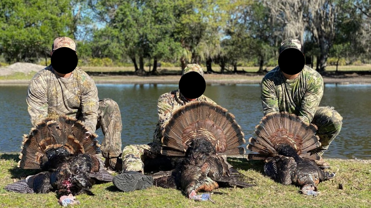 Florida Men Arrested for Scheme to Sell Fake Osceola Turkey Hunts