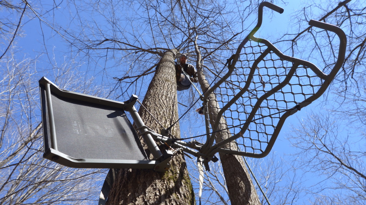 3 Reasons to Pull Your Treestands and Start Fresh This Season
