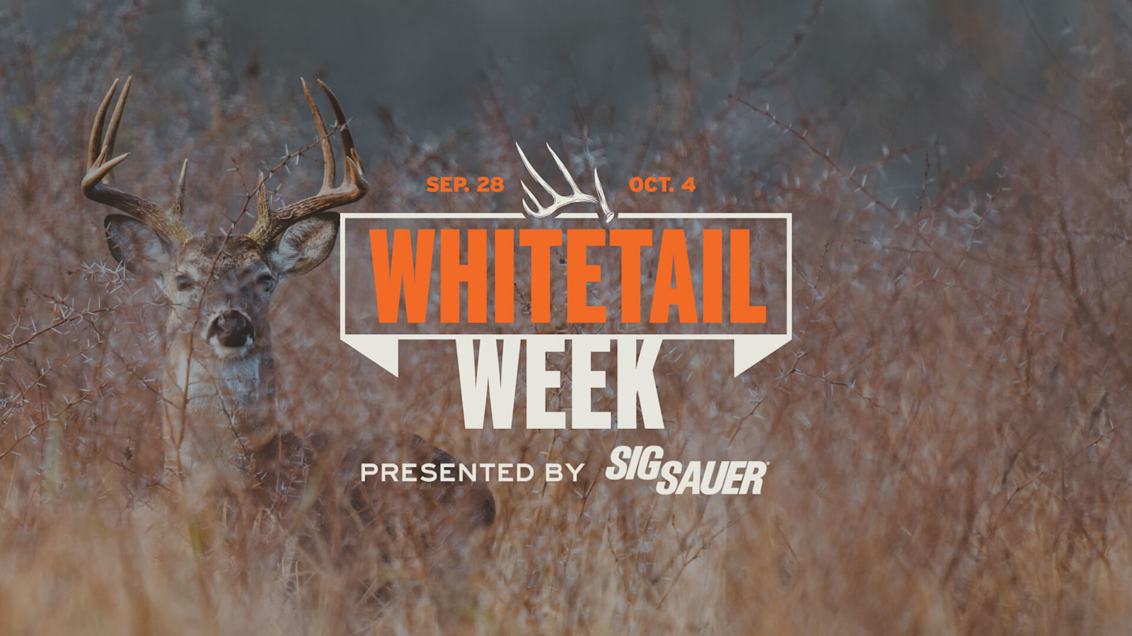 WHITETAIL WEEK overlay on photo of buck in brush — SEP. 28 · OCT. 4 · PRESENTED BY SIG SAUER