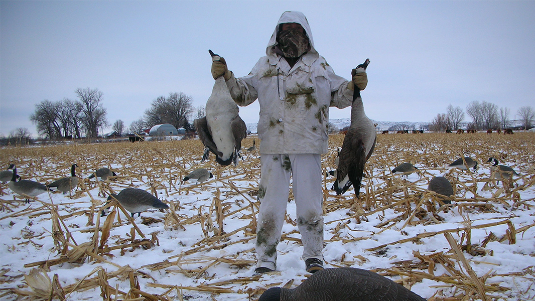 Best weather for discount canada goose hunting