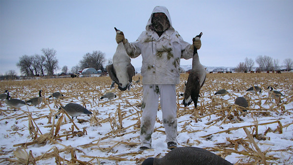 Goose Hunting Tactics