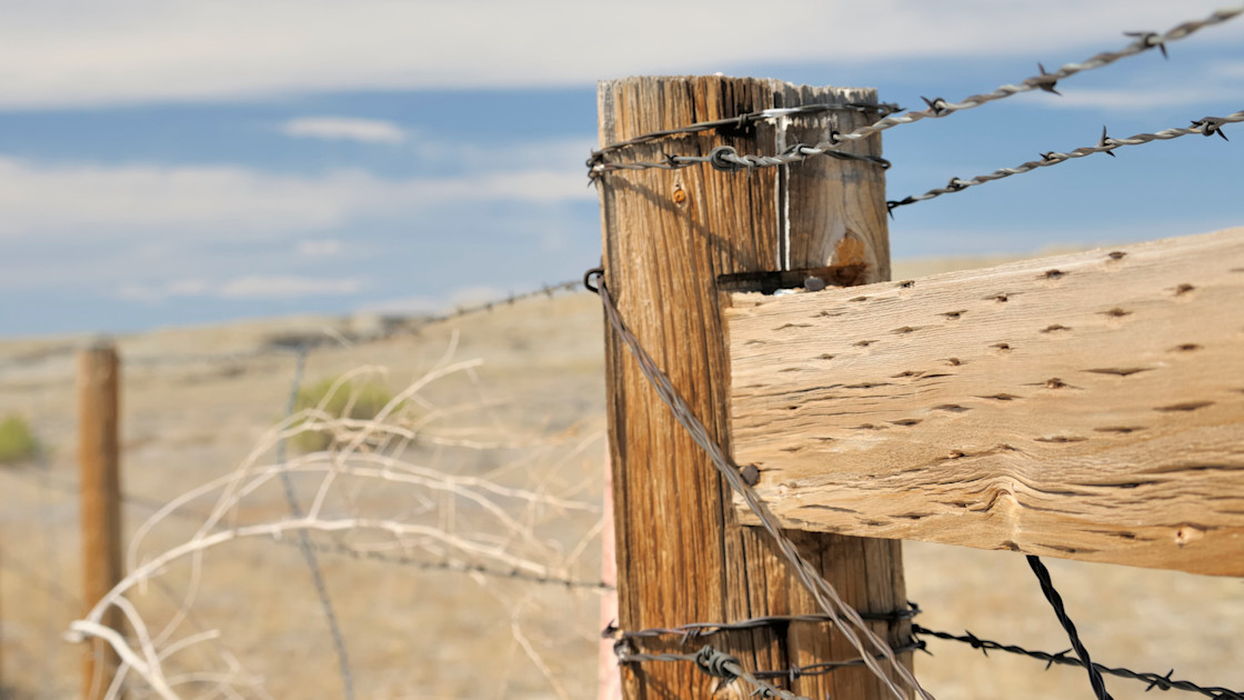 What Hunters Should Know about the Corner Crossing Victory MeatEater