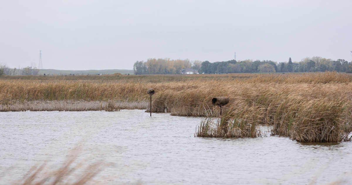 Now is the Time to Speak Up for America’s Wetlands Now is the Time to Speak Up for America’s Wetlands