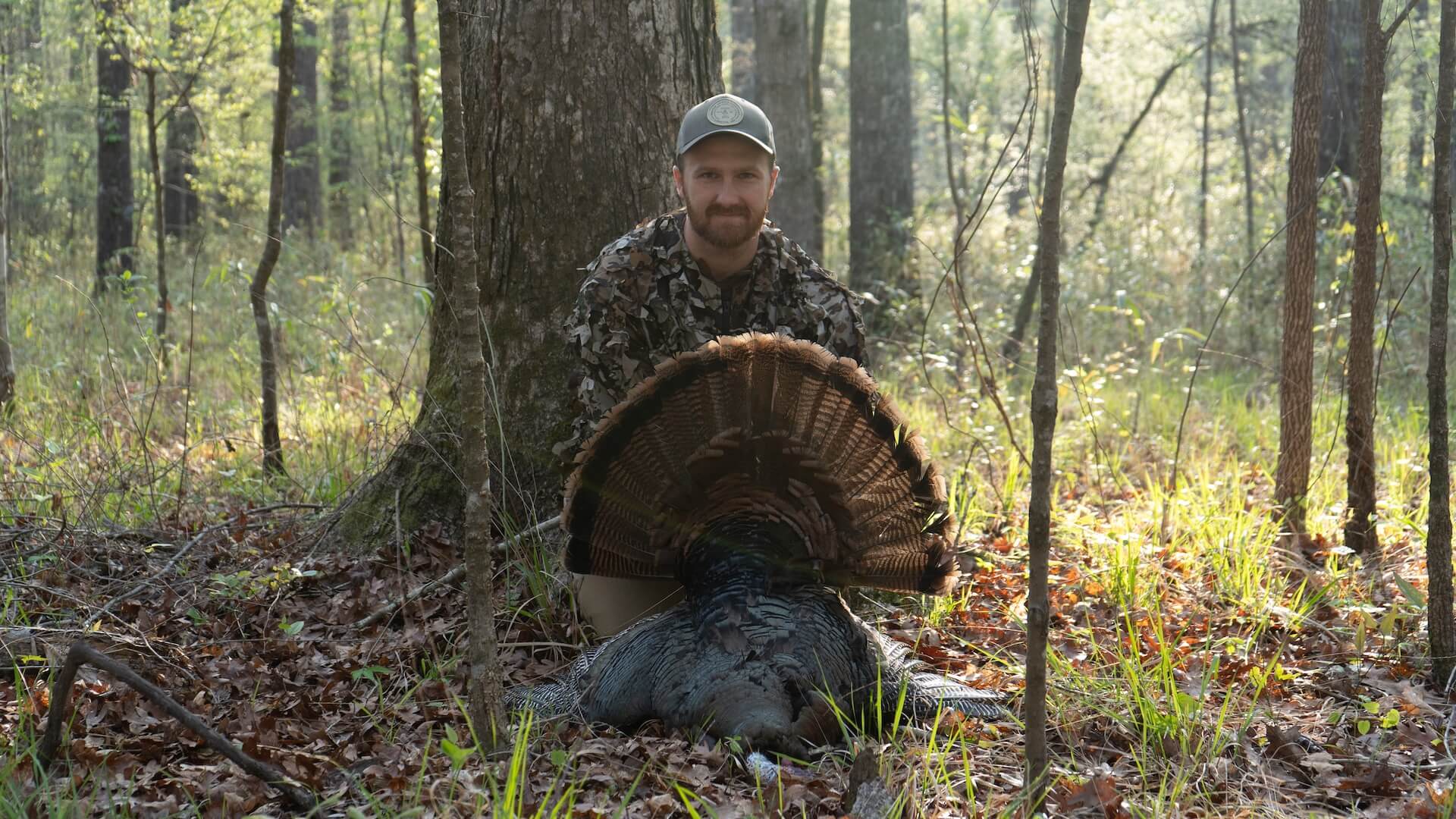 Man kneeling behind harvested wild turkey with fanned tail in woods