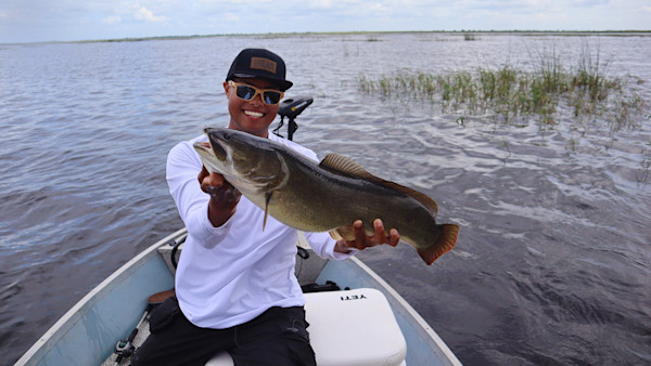 Trash Fish Tuesday: Bowfin