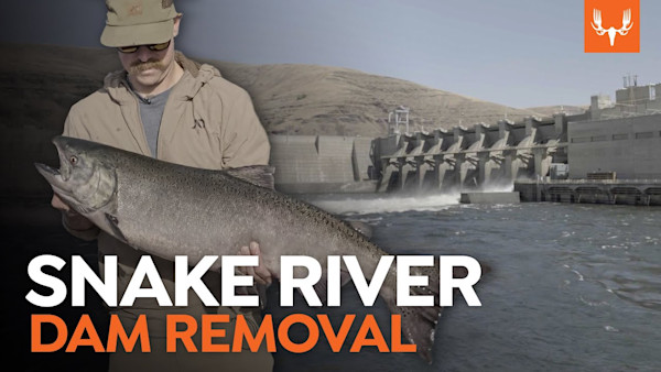 Snake River Dam Removal