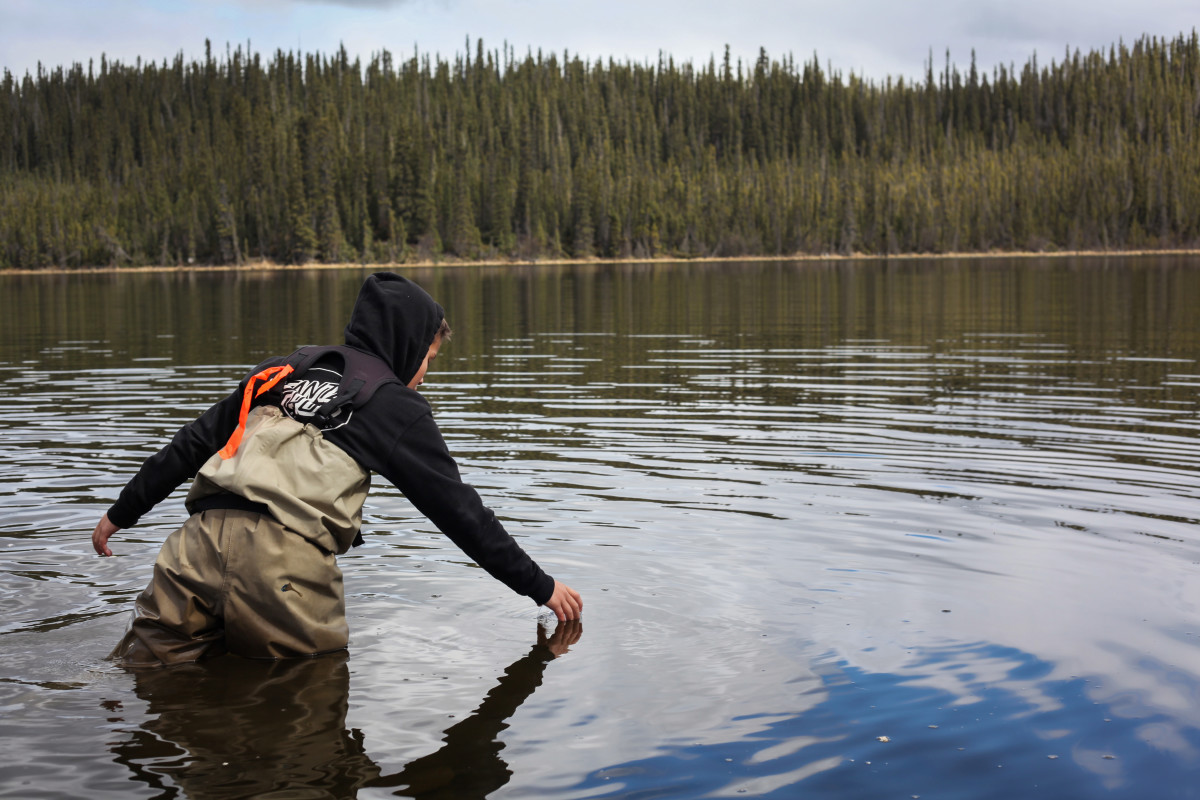 Alaskan Elementary students release salmon fry (6)