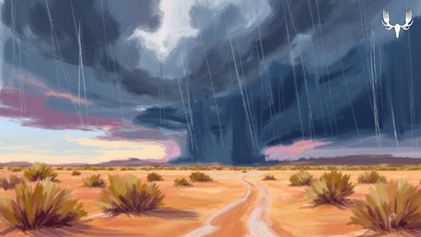 Dark rain shaft and storm clouds over desert scrub with winding dirt track