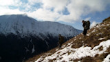 The Rugged Peaks: Alaskan Mountain Goat