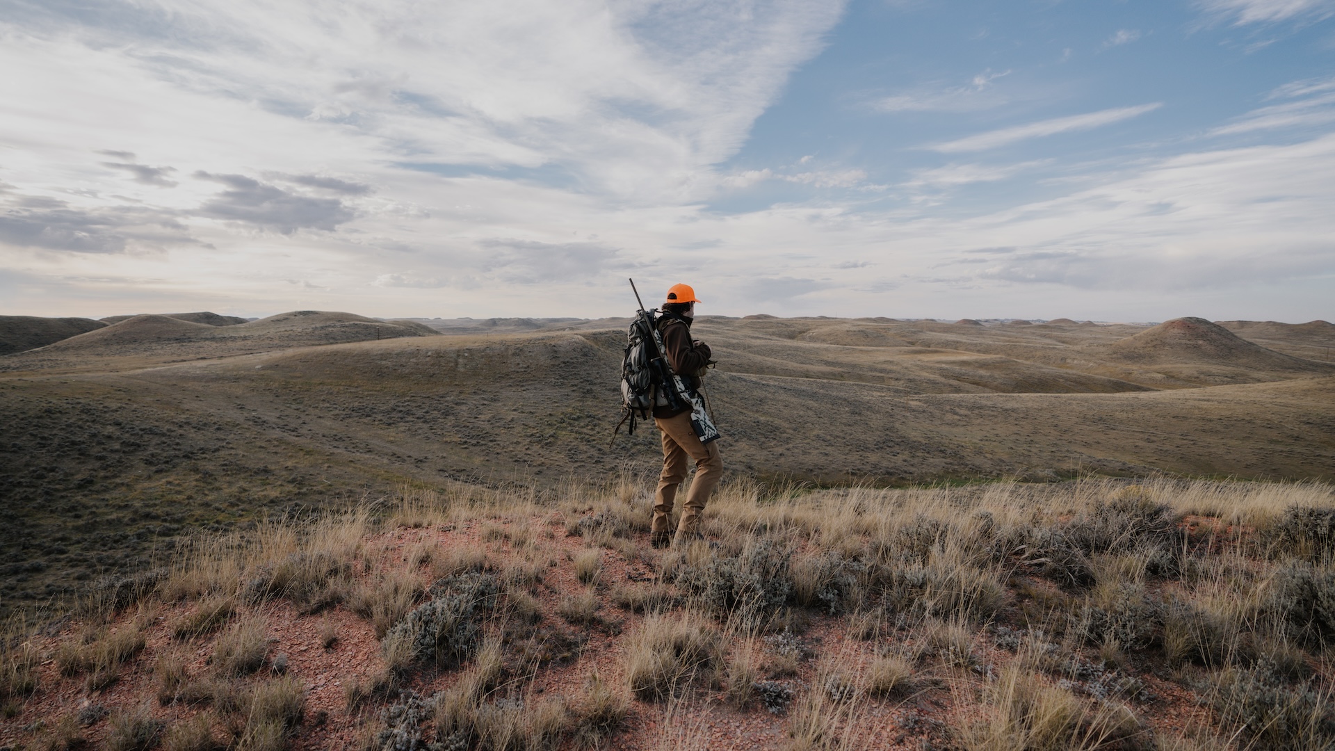 BLM lands